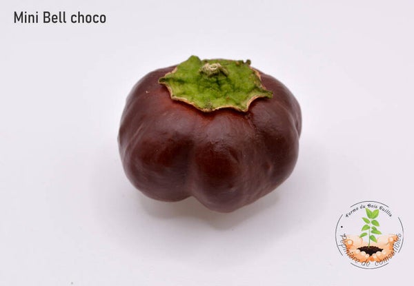 Mini chocolate bell