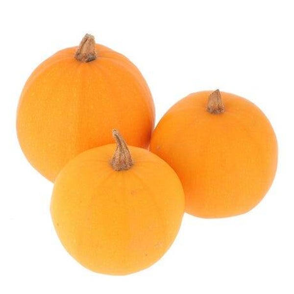Courge pomme d'or