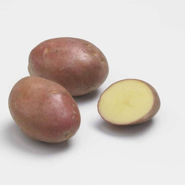 Pommes de terre Désirées