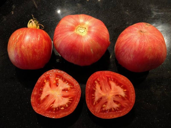 Tomate Red Furry Boar