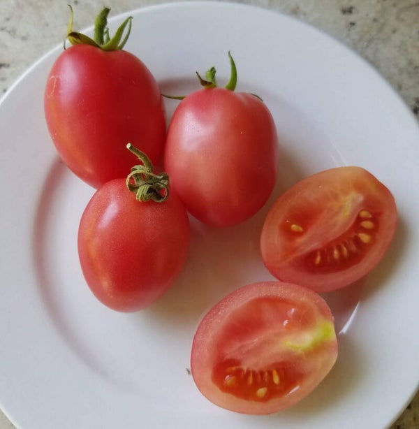 Tomate Rose Pink Thaï Eggs