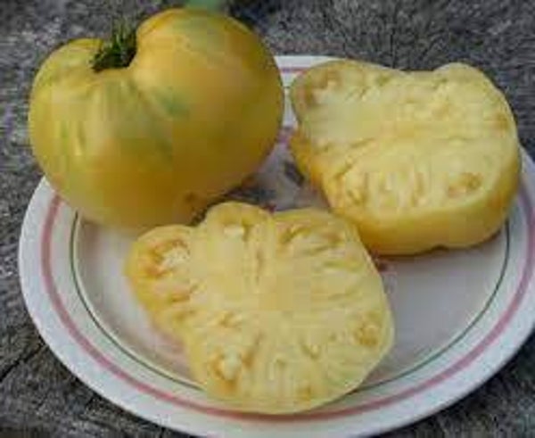 Tomate Cœur de Bœuf Blanche graines