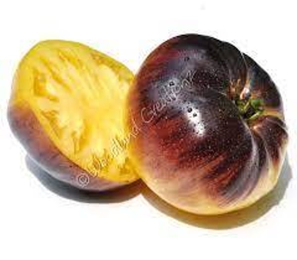 Tomate Sart Roloise graines