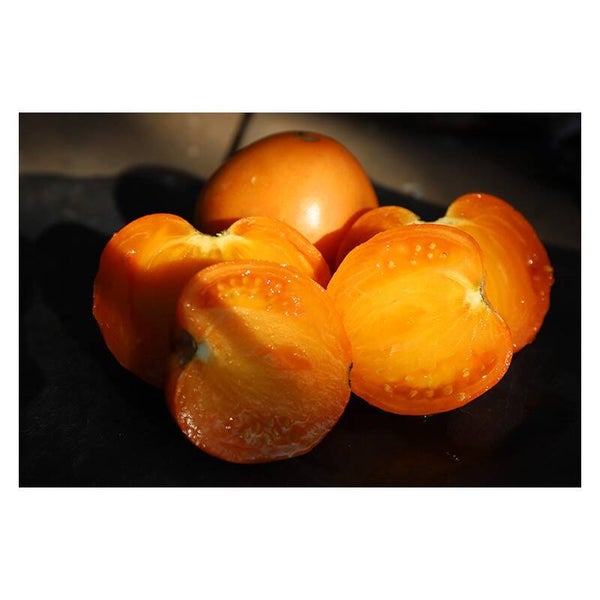 Tomate Cœur de Bœuf Orange graines