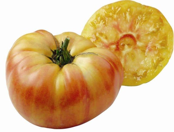 Tomate Côtelés Bigarrée jaune/rose graines