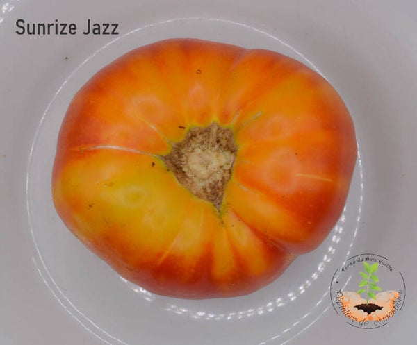 Sunrise Jazz