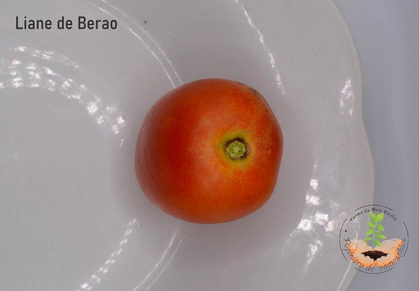 Liane de Berao