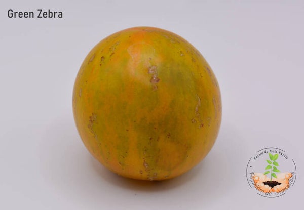 Tomate Green Zebra graines