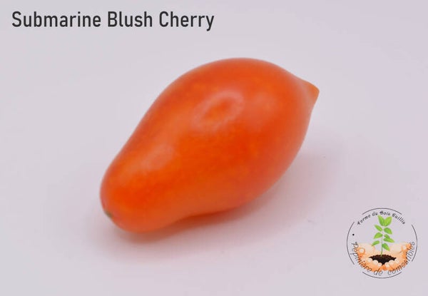 Submarine Blush Cherry
