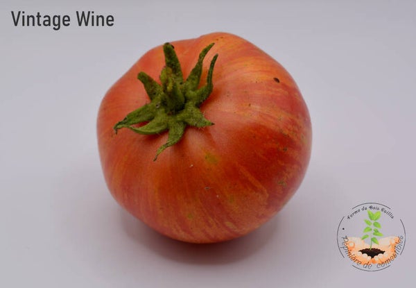 Vintage Wine