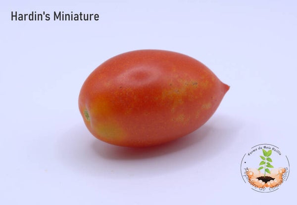 Hardin's miniature