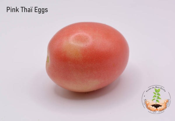Pink Tai Eggs