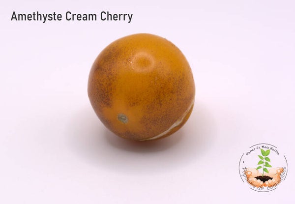 Amnethyste cream cherry