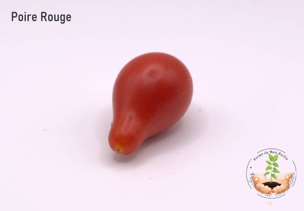 Poire rouge