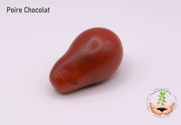 Poire chocolat