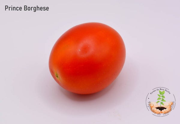 Prince Borghèse
