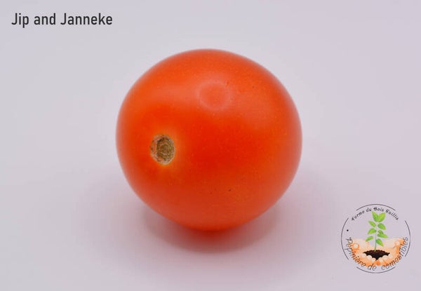 Jip and Janneke