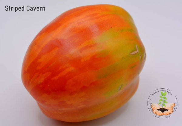Striped Cavern