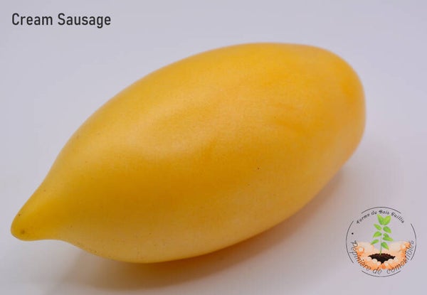 Cream Sausage