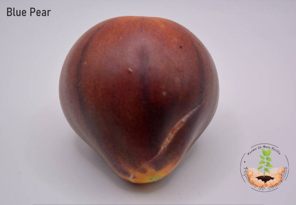Blue Pear