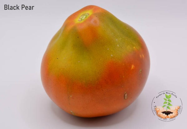 Black Pear