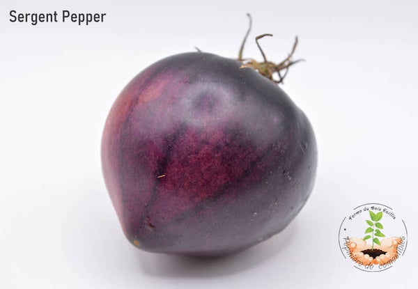 Sergent Pepper