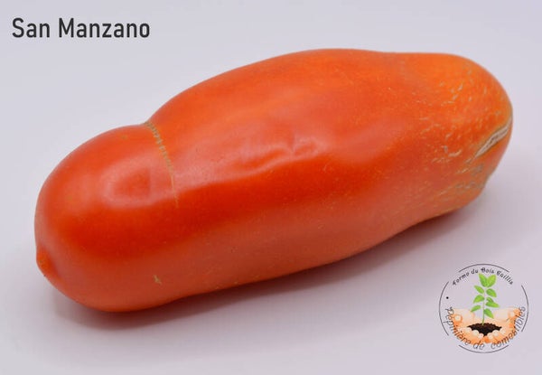 San Marzano