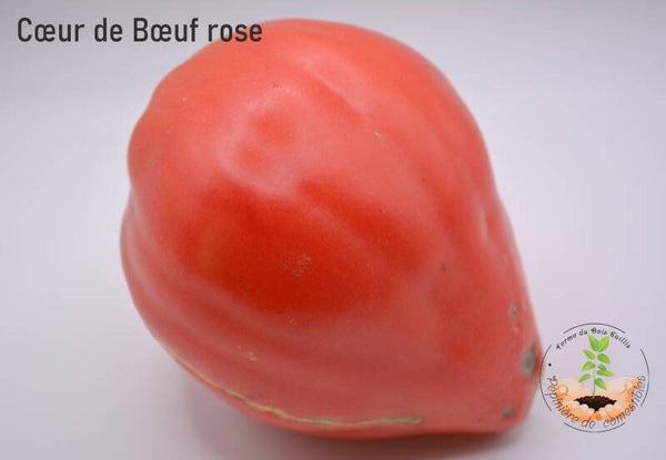 Cœur de bœuf rose