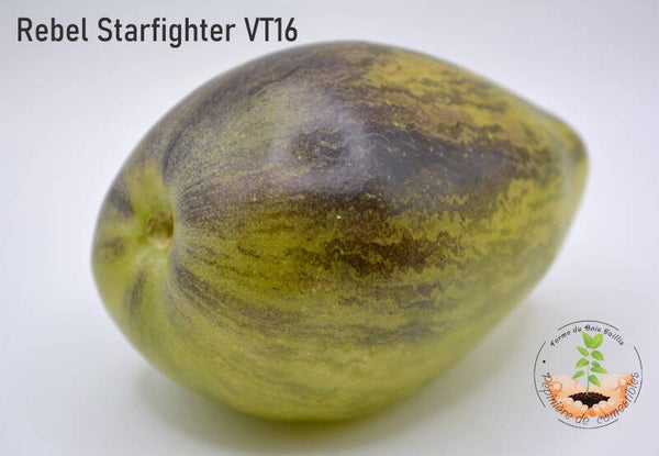 Rebelle Starfighter VT16