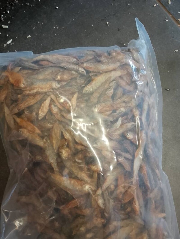 Gedroogde sprotjes ((honden snack)