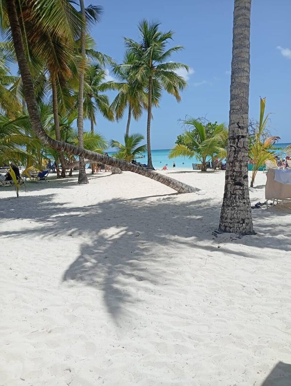 excursión isla saona