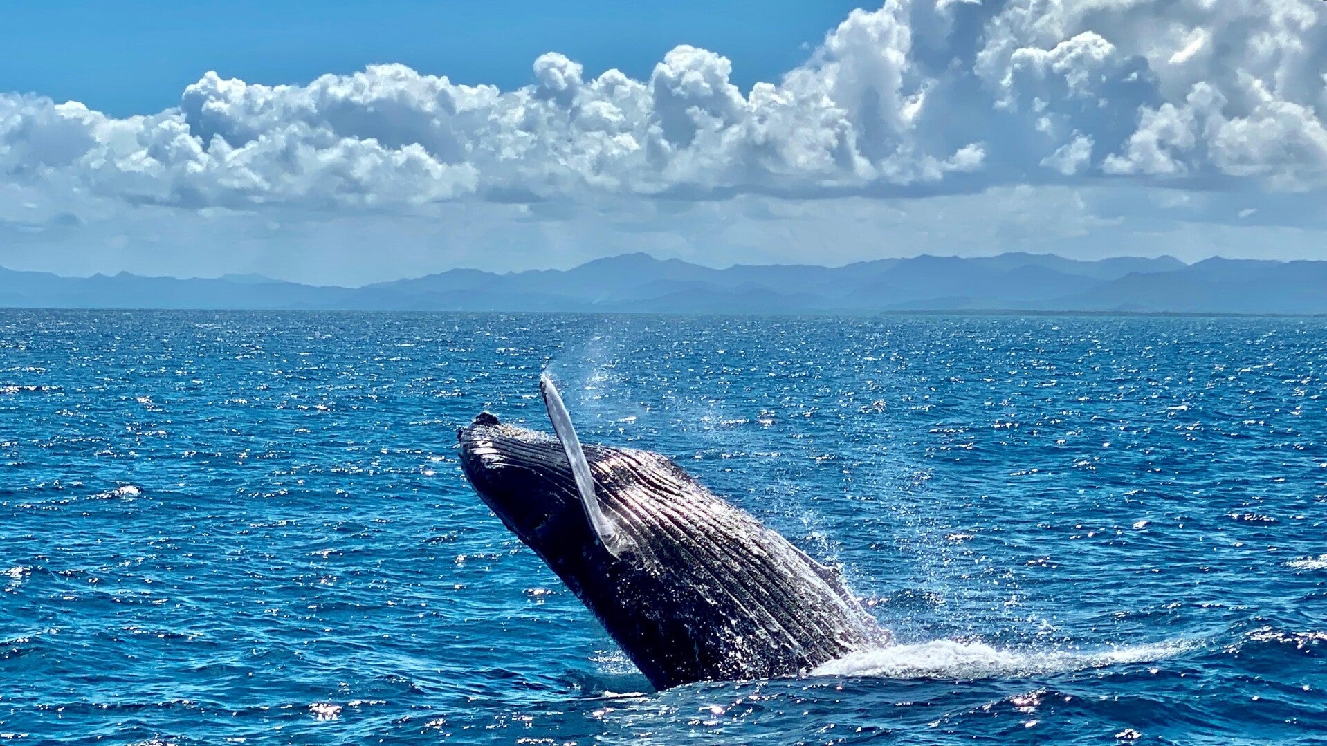 tour samana