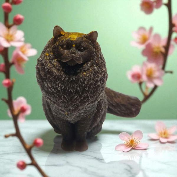 Bildhübsche Katze "Charly"