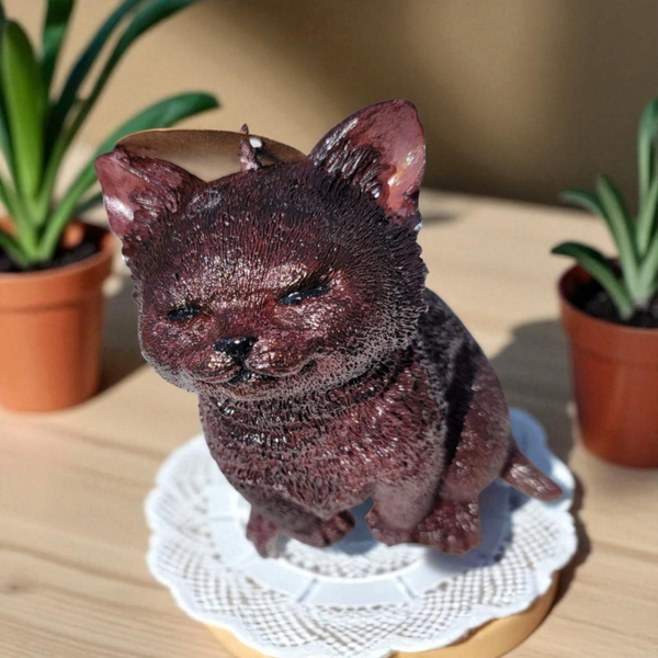Süsse große Katze "Tom"