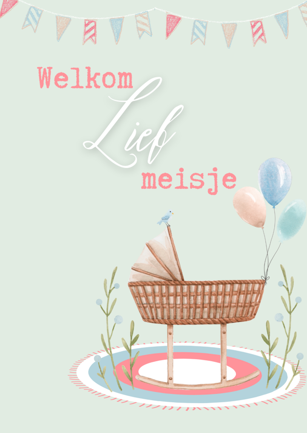 Gevouwen Kaart "Geboorte lief meisje"