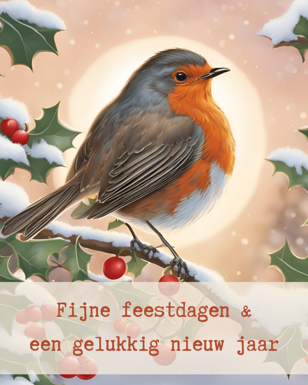 Kerstkaart roodborstje (12 stuks)