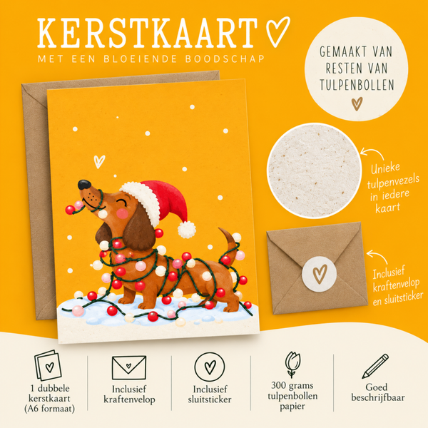 Kerstkaart teckel (15 stuks) (dubbele kaart)
