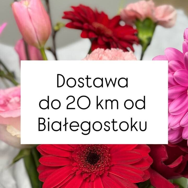 Dostawa po za miastem Białystok