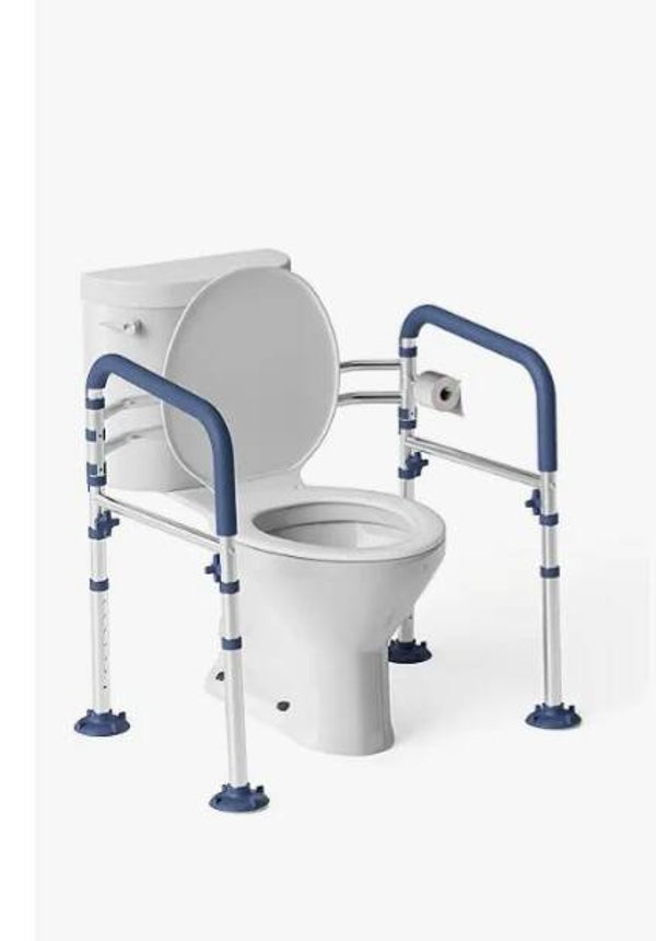 Rails for toilet