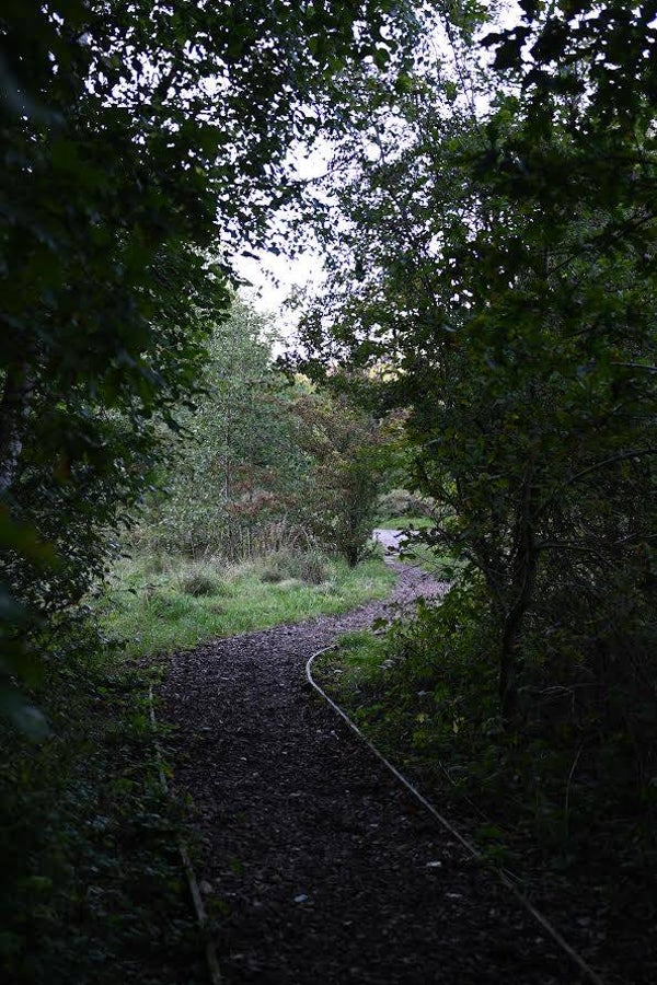 The Vale