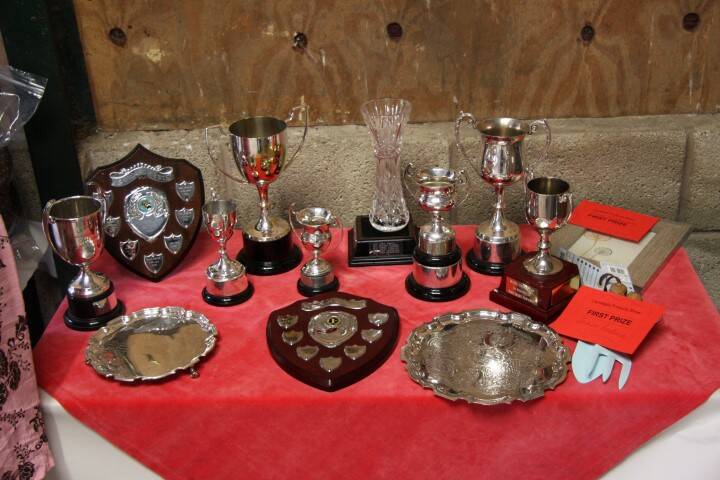 Fete day prizes