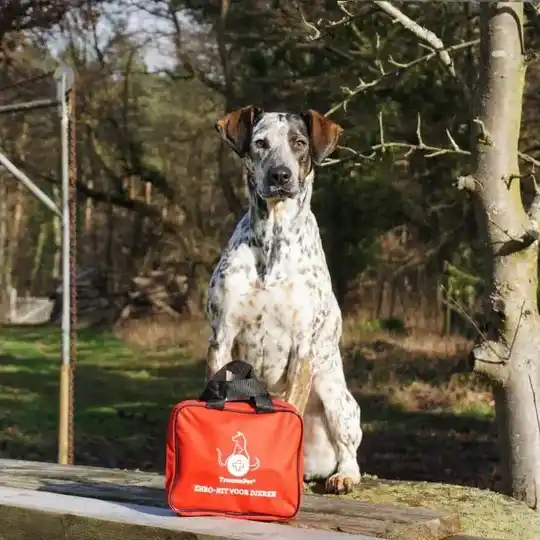 Traumapet EHBO-kit dieren 19-delig