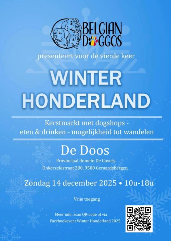 Workshop Hypoallergene Hondenkoekjes Maken! 🐾🍪