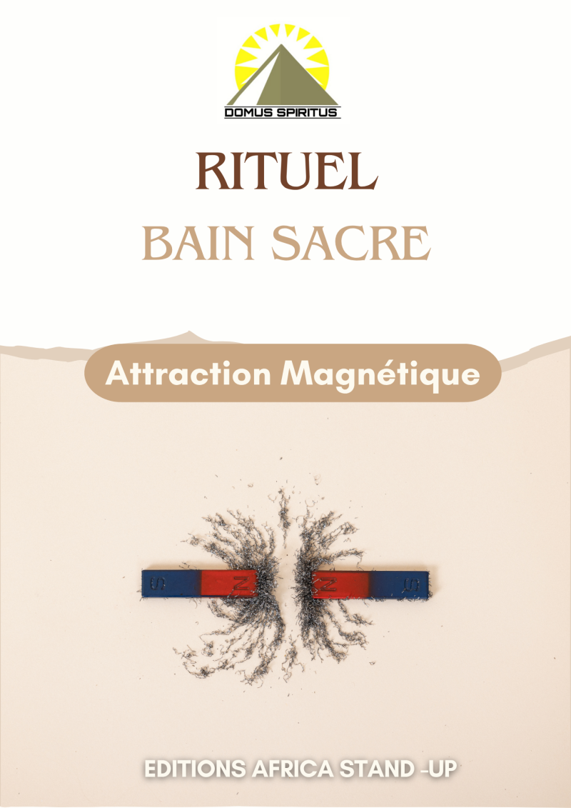 lrb-attraction-magnetique-standard.png