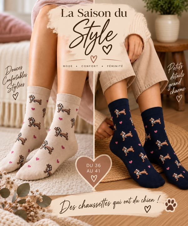 Chaussettes Teckels