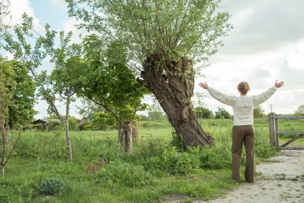 herstel van long covid en andere langdurige klachten. Stressortherapie, mind-body