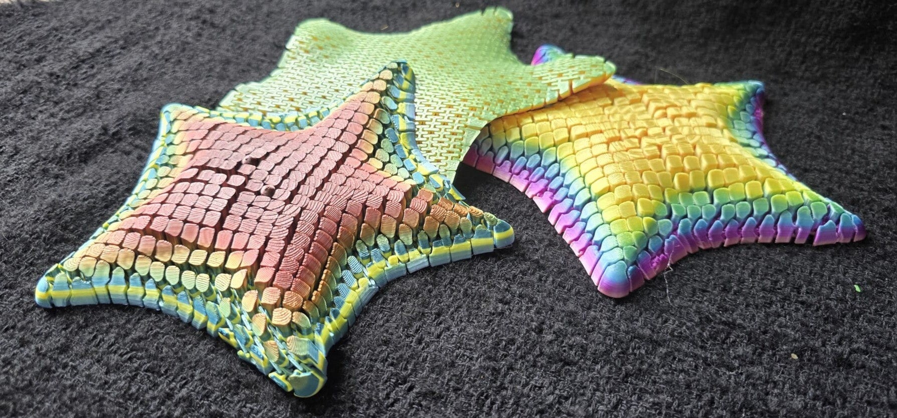 Betsie, the bat sea star