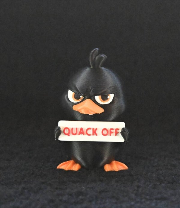 Duck