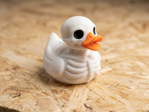 Skeleton Duck