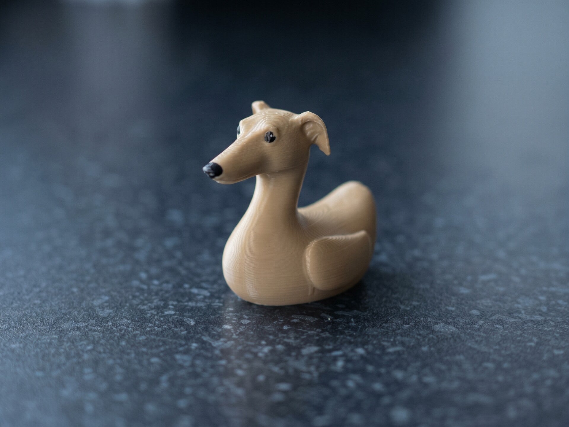 Whippet Duck